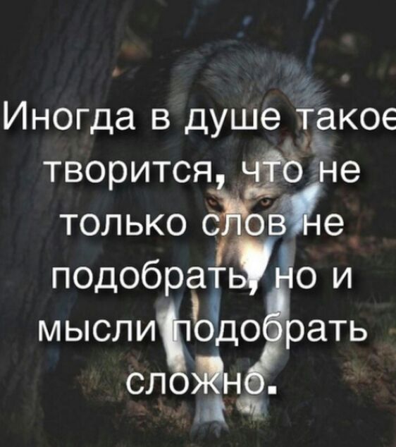 Иногда в душеіакое творится гне только подобрат мысли БД 0 роать слн