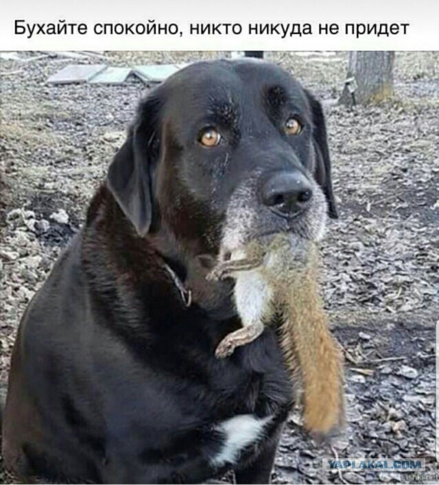 і ИНО НИКТО никуда не придет ите СПОКО Буха