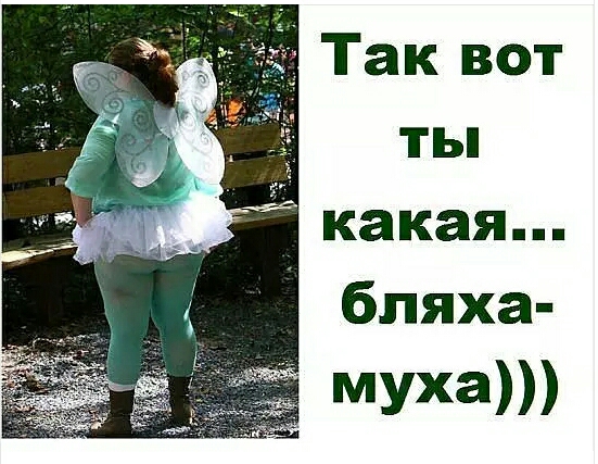 Так вот ты какая бляха Муха