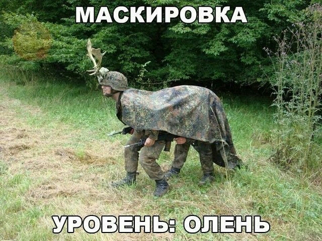 м скйвЁВКА