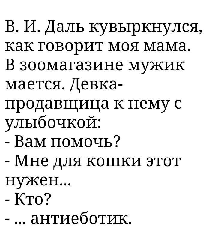 В И Даль кувыркнулся как говорит моя мама В зоомагазине мужик мается Девка продавщица к нему с улыбочкой Вам помочь Мне для кошки этот нужен Кто антиеботик