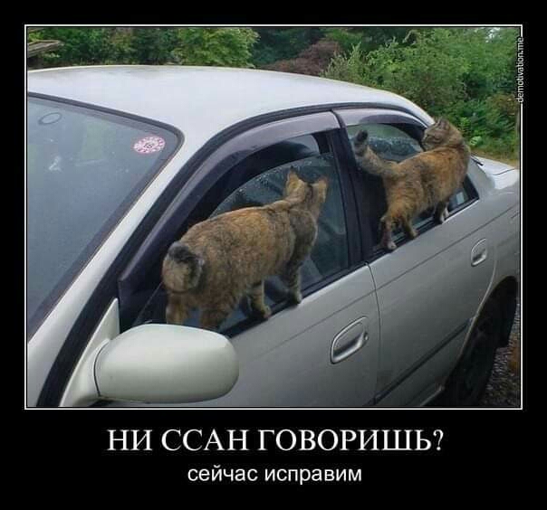 Е Ё Е НИ ССАН ГОВОРИШЬ сейчас испра ВИМ
