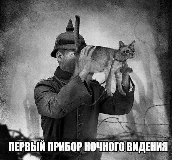 изъ ИЕРИЫИ ПРИЕМ ночного ВИдЕИИИ
