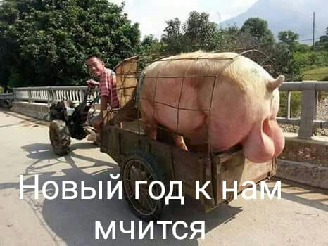 мчитс