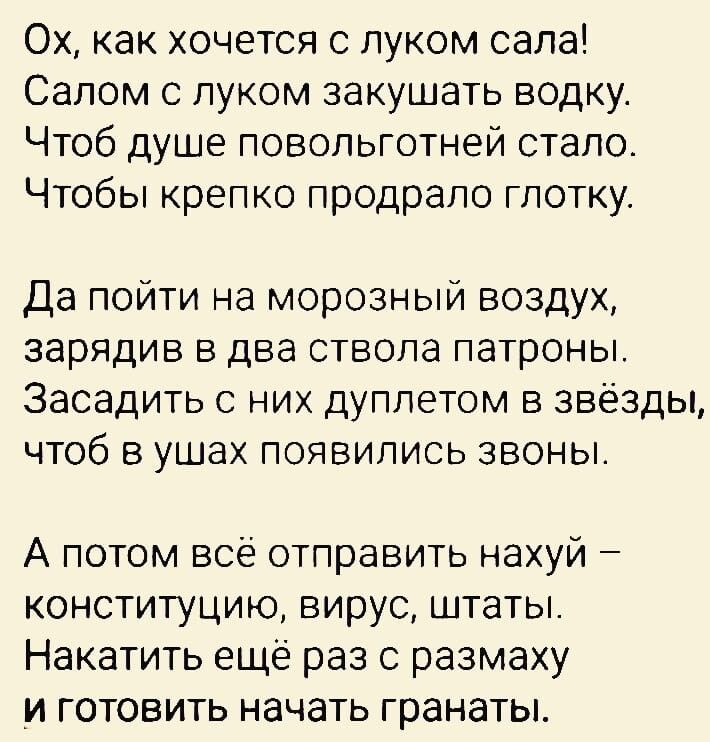 Ох как хочется с луком сала Салом с луком закушать водку Чтоб душе повольготней стало Чтобы крепко продрало глотку Да пойти на морозный воздух зарядив в два ствола патроны Засадить с них дуплетом в звёзды чтоб в ушах появились звоны А потом всё отправить нахуй конституцию вирус штаты Накатить еще раз с размаху и готовить начать гранаты