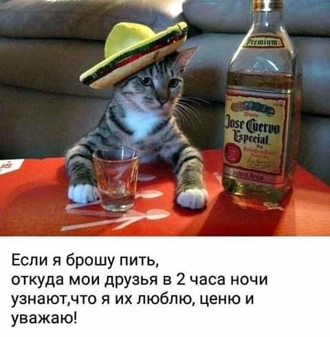 Если я брошу пить откуда мои друзья в 2 часа ночи узнаютчто я их люблю ценю и уважаю