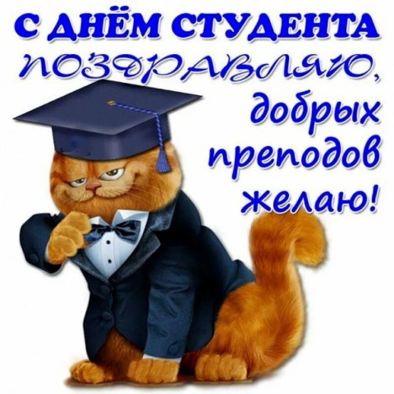 с АНЁМ СТУАЕНТА повсарАЭашю добрых преподов д желаю