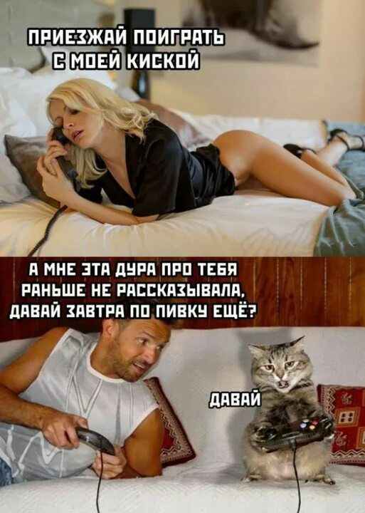 приезжий пишит Емпвй кипкпй и мн эти дни пир тЕБя пдиьш н риспкпзывппи дпвпй пвтря пп пивкн ЕЩЁ