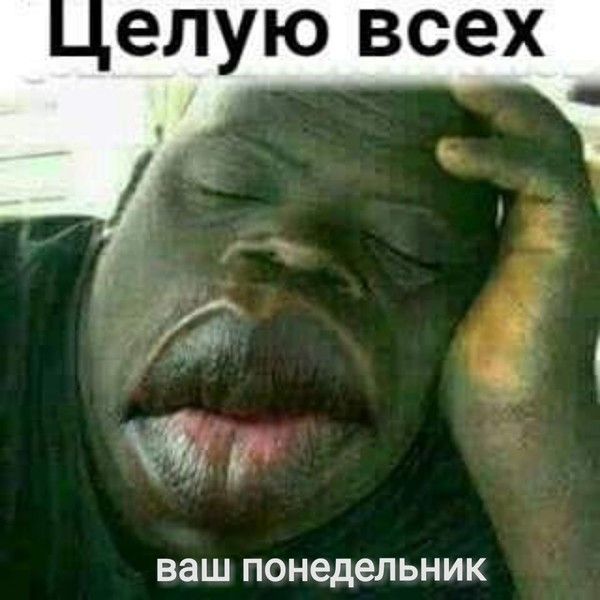 ЕЛУЮ ВСЕХ ваш понедельник