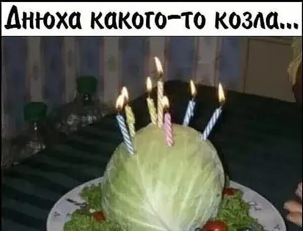 днюха какого то козш