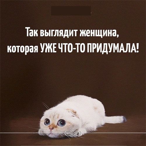 Так выглядит женщина которая УЖЕ ЧТО ТО ПРИДУМАЛА