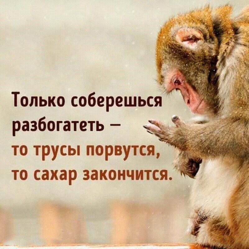 Только соберешься разбогатеть то трусы порвутся то сахар закончитсяі