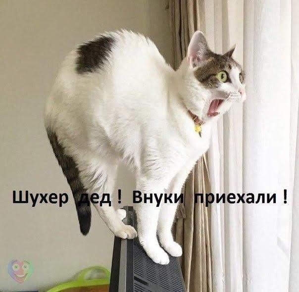 иехали