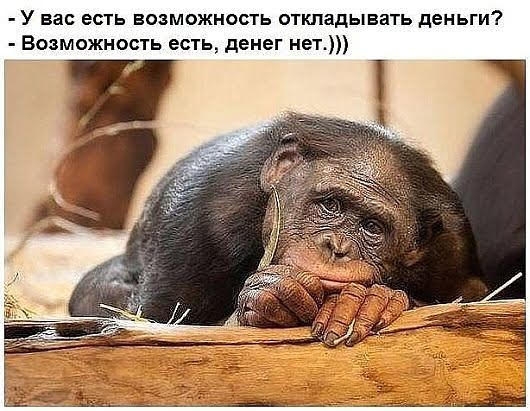 У вас есть возможность откладывать деньги Возможность есть денег нет