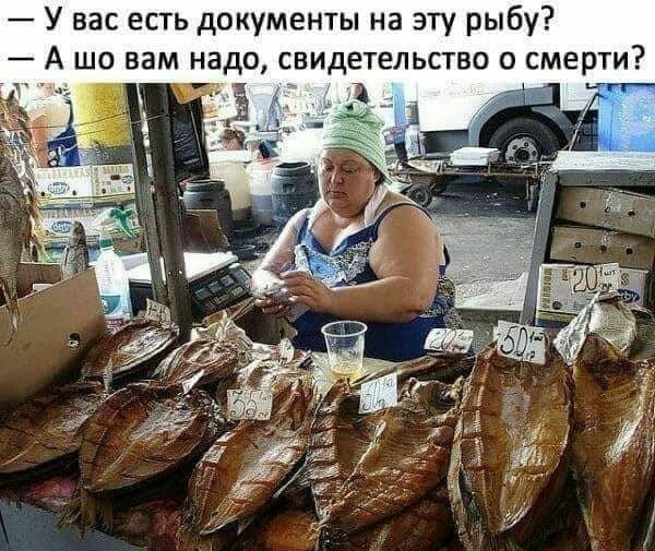 У вас есть документы на эту рыбу А шо вам надо свидетельство о смерти _ 15 __1