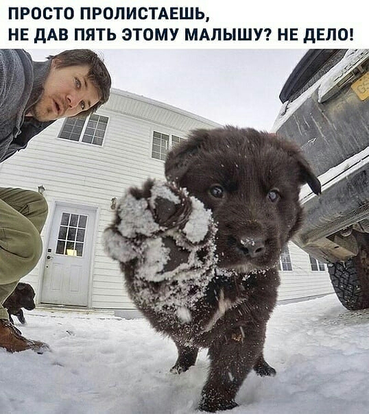 ПРОСТО ПРОПИСТАЕШЬ НЕ дАВ ПЯТЬ ЭТОМУ МАПЫШУ НЕ дЕЛО