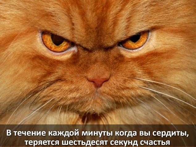 В течение каждой минуты когда вы сердиты теряется шестьдесят секунд счастья