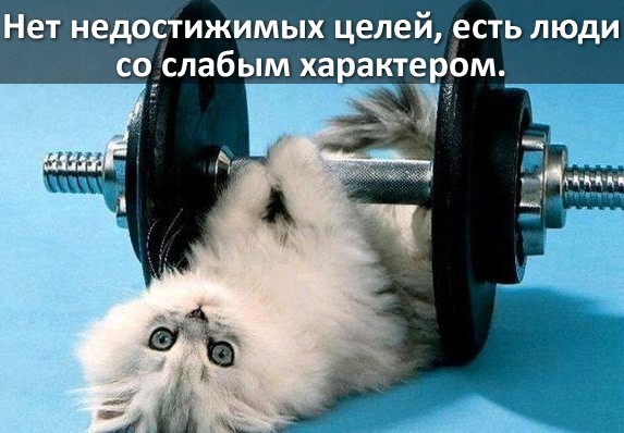 Нет недостижимых целей есть люди со_слабым ха акттом