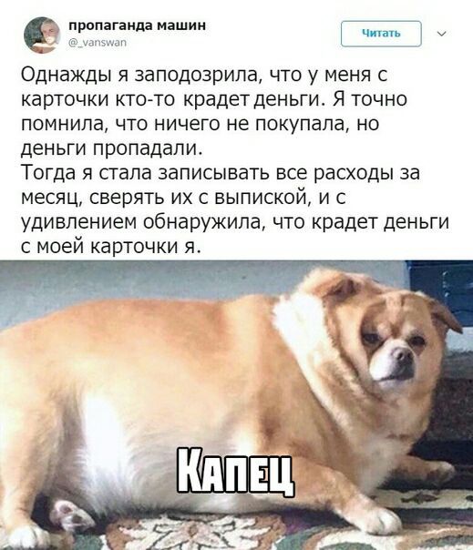 пропаганда машин ц у и п Однажды я заподозрила что у меня с карточки ктото крадет деньги Я точно помнила что ничего не покупала но деньги пропадали Тогда я стала записывать все расходы за месяц сверять их с выпиской и с удивлением обнаружила что крадет деньги с моей карточки я