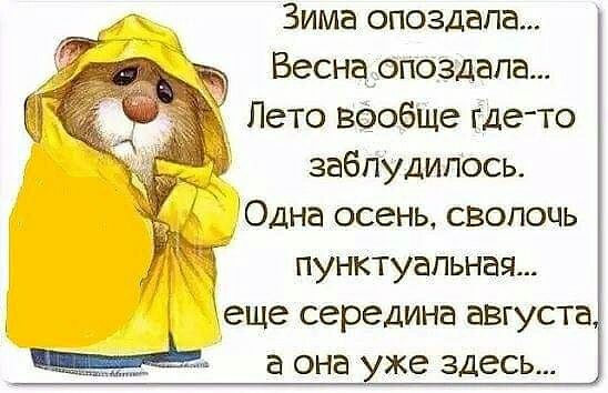 дд Зима опоздала КЧ Веснадопоздапа Лето всобще где то забпудипось Одна осень сволочь пунктуальная еще середина августа а она уже здесь