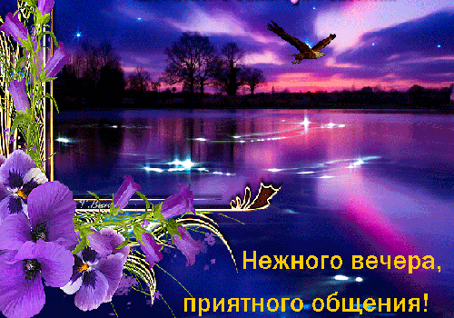 Нежного вечера приятные общения