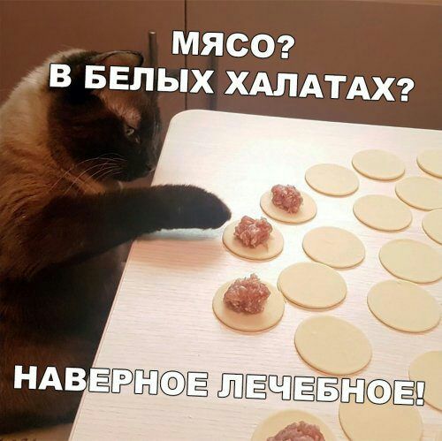мясе В БЕЛЫХ ХАЛАТАХ п мввЁ ЩЁЩЁБЁШЭЁВ