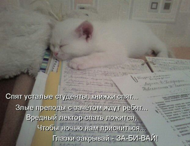 гггы тт и смут