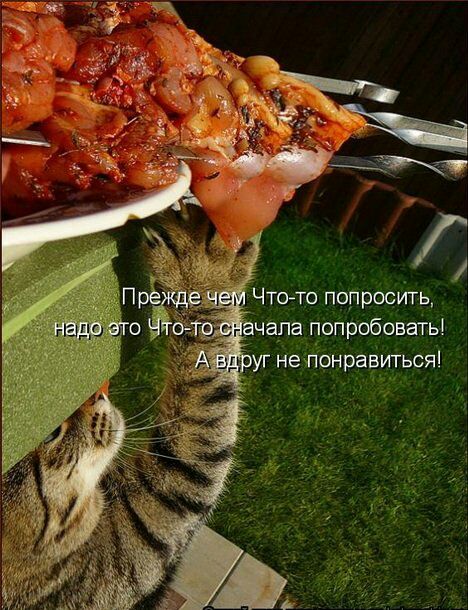Чтото попросить апа попробовать