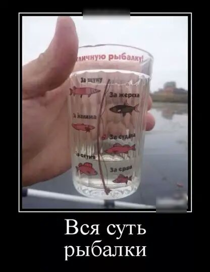 Вся суть рыбалки
