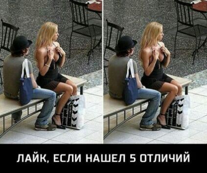 пдйк ЕСЛИ НАШЕЛ 5 птпичий