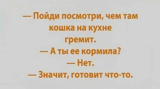 Пойди посмотри чем там кошка на кухне гремит А ты ее кормила Нет Значит гшопт что то