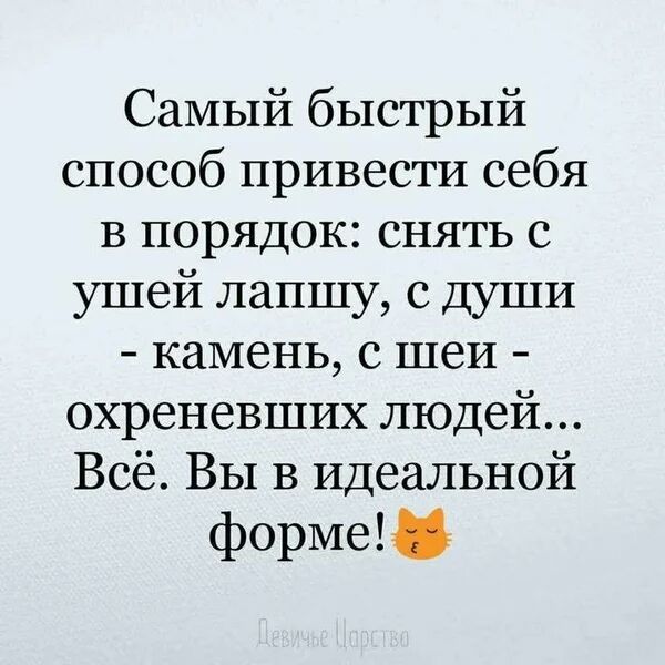 Самый быстрый способ привести себя В порядок снять с ушей лапшу с души камень с шеи охреневших людей Всё Вы в Идеальной форме