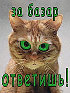 и база