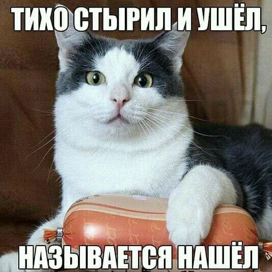ТИШРТЫРИ 1ЫЩШ