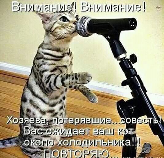 Т ЁЁЁДНіцгіЬ г г