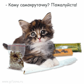 Кому самопруючку Пожппуйста