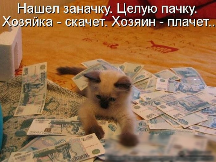Нащшкёш жизни 5 Хозййк скача