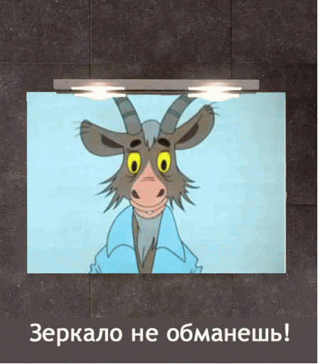 Зеркало не обманешь