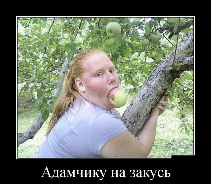 Адамчику на закусь