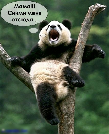 Мама Сними меня отсюда