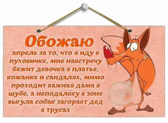 Обожаю апрель 31 то что я иду пуховичке мнс навстречу бежит девочки в платье кожянкг и спадали мимо проходит важная дама в шубе иеподмёку в зоне выгула собак горит дел в трусах