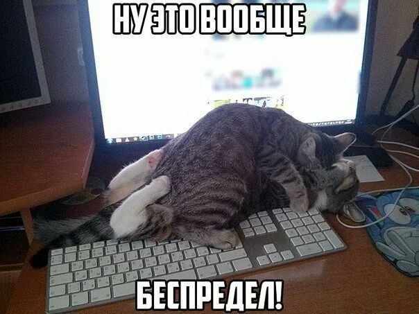 ЕШРЕДЕЛ