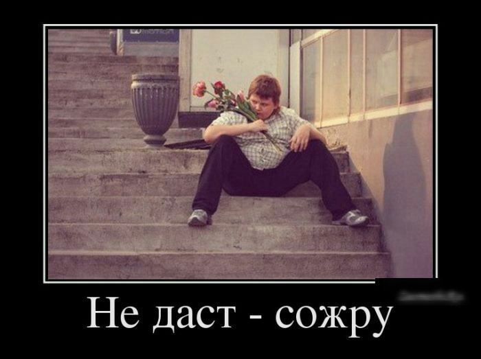 сожру Т С Д 6 Н
