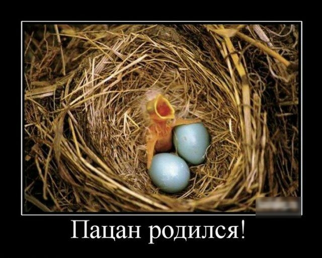 Ё Ё__ _ ацан родился