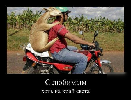 С любимым хоть на край света