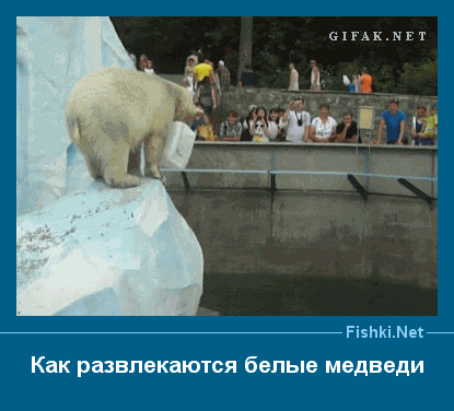 ахпкмп РізЬКіЛеКЙ Как развлекаются белые медведи