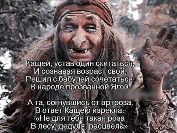 В ответ Кащетр изрекпа Не для тебя такая роза В лесу дедудЁ іраСЦвелё