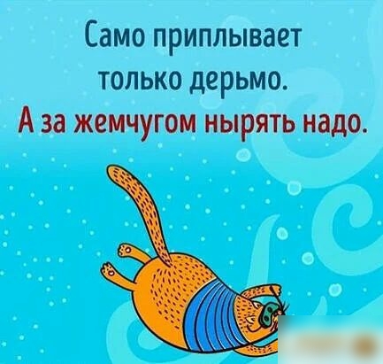 СЗМО ПРИПЛЫВВЁТ ТОЛЬКО дерьмо А 38 ЖСМЧУГОМ НЫРЯТЬ надо