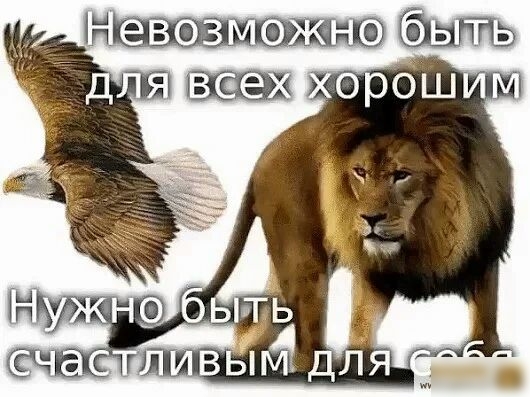 тш1а