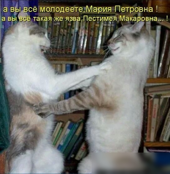 сё моподеетеМария Петрорна такя же язв Пест мёяМакаровна